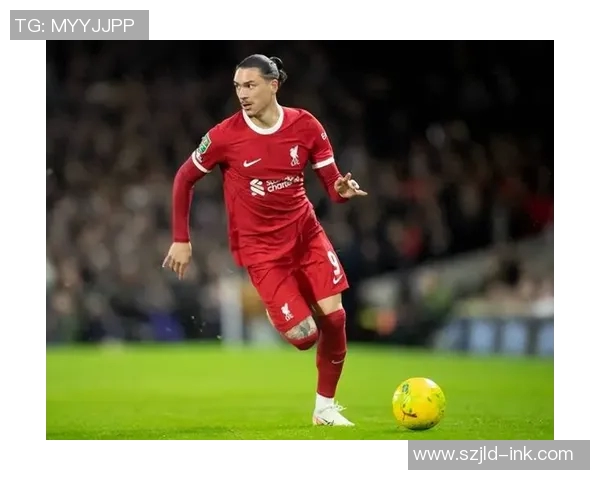 努涅斯在赛场上的崛起与挑战解析，未来能否成为足球新星的关键时刻