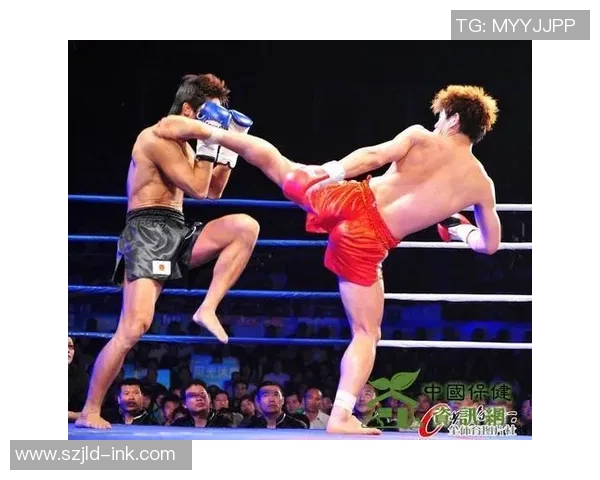 武林风视频带你领略中国传统武术的魅力与激情，感受拳拳到肉的热血对决