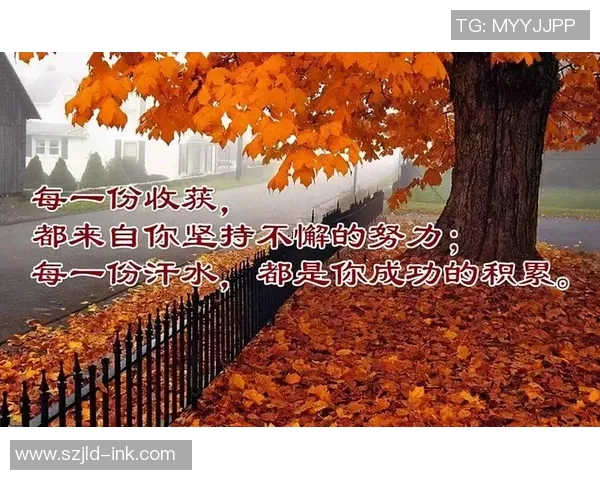 向艳的故事：在追梦路上绽放的勇气与坚持